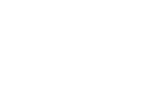 logo-chubb.png