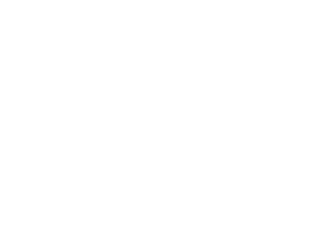 logo-essor.png