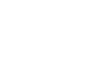 logo-omint.png