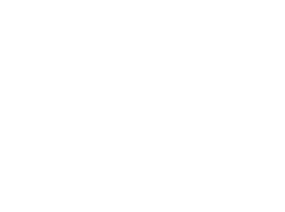logo-tokiomarine.png